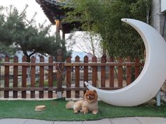 -三里河公园