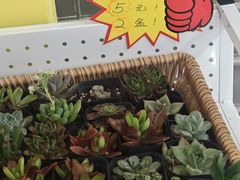 -天津梅江印象城