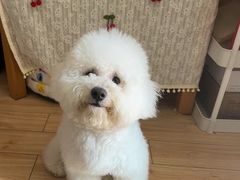 -猫狗日记·自助洗护·宠物寄养·售卖