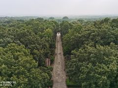 -灵谷景区