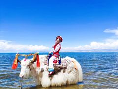 -青海湖国家重点风景名胜区