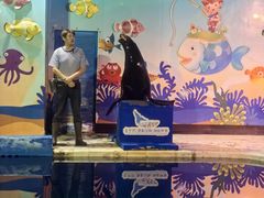 -太平洋海底世界