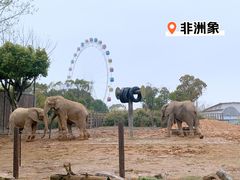 -上海野生动物园