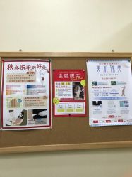 -银座Calla日式美容沙龙