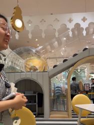 -奈尔宝·儿童乐园·亲子餐厅(华采天地店)