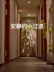 -芳香乐府疗愈空间·SPA·冥想