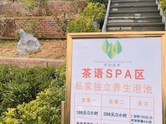 -英德宝晶宫天鹅湖茶语温泉