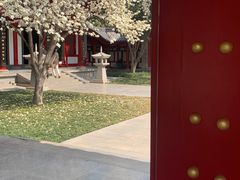 -大慈恩寺(大雁塔)