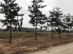 -汉长安城未央宫国家考古遗址公园