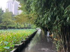 -四川大学(华西校区)