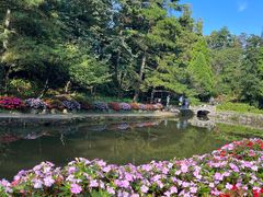 -庐山风景区花径公园