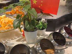 -洪氏嗨捞·猪肚鸡火锅(阳光天地店)