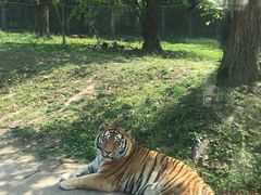 -西安秦岭野生动物园