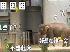 -红山森林动物园