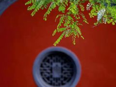 -中国观音故里广德景区