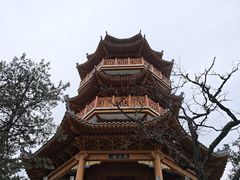-塔云山