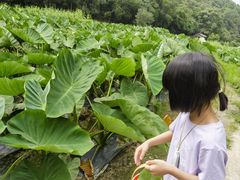 -世间香境·七溪地