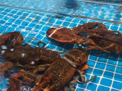 -百富源·海鲜辽菜(张士店)