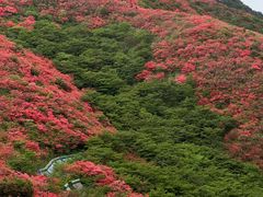 -大围山国家森林公园