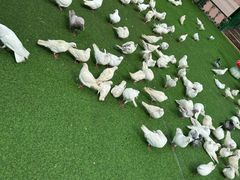 -成都欢乐谷