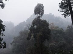 -青城山