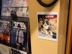 -拉面莊夢語＆中华料理八椿
