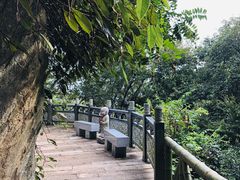 -花亭湖风景名胜区
