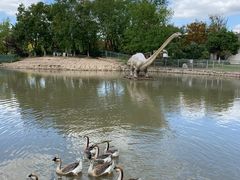 -上海海湾国家森林公园