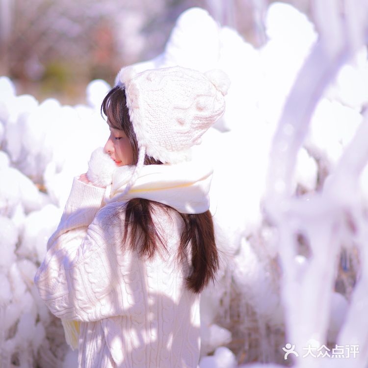 在无锡也能拍到冰天雪地啦～无锡探店黄杨居冰凌世界