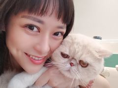 -飞行喵MR PILOT|猫舍·猫咖(静安大融城店)