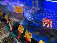 水产区-蔚海之都·象山蒸汽海鲜(仙霞路店)