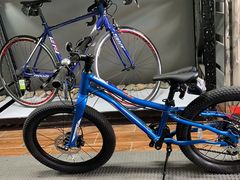 -道路口单车爱瓦士dahon大行