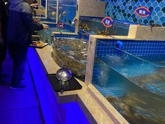 水产区-乔哥铭洋海鲜自助(皇城恒隆广场店)
