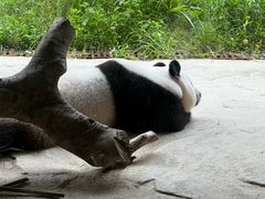 -宁波野生动物园