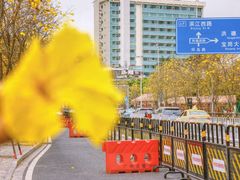 -洲头咀公园