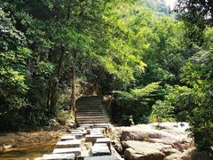 -广州白江湖森林公园