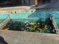 -京北渔家傲