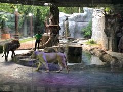 -清迈夜间动物园