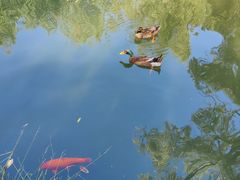 -三里河公园