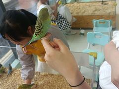 -怪兽屋·羊驼·猫咖·狗咖(俊华广场店)