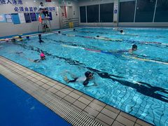 -曹杨游泳馆