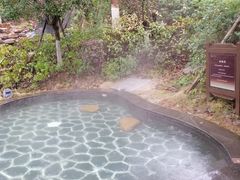 -宜春明月山维景国际温泉度假酒店
