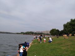 -丁香湖公园