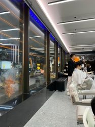 -时尚工厂·科学染发