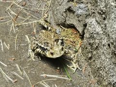 -白水寺森林公园