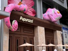 -帕帕拉兹宠物(亚洲旗舰店)