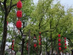 -鲁镇