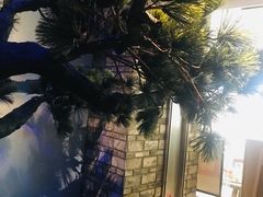景观位-绿茶餐厅(石家庄万象城店)