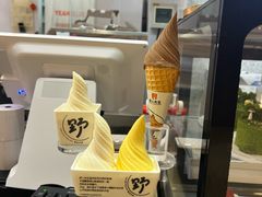 -野人先生现做冰淇淋(北京环宇荟店)