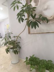 -紫琪尔胸部养护中心